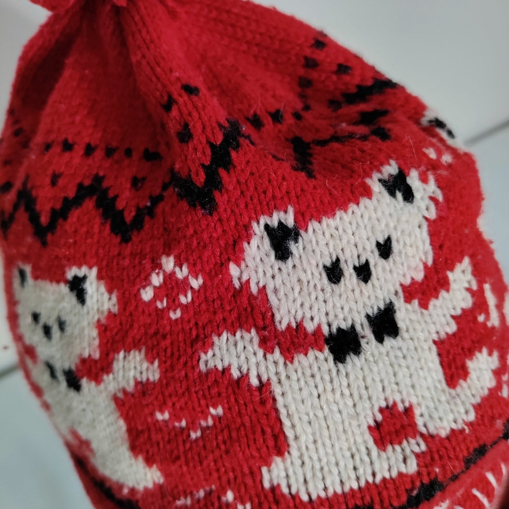 Warm winter ladies hat.